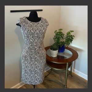 Size 4 Calvin Klein Form Fitting Dress
